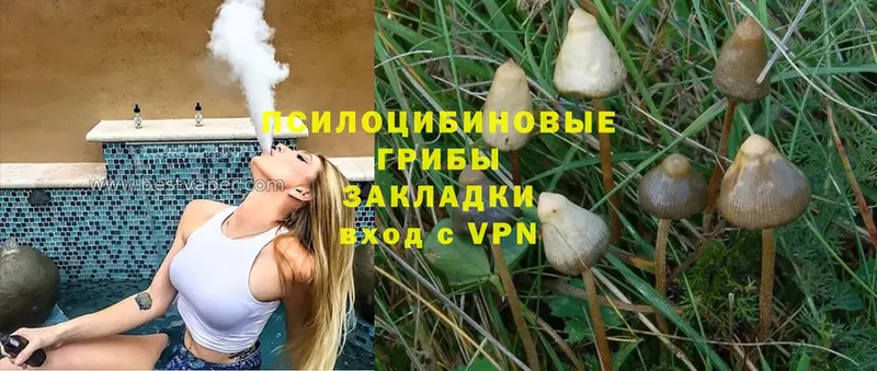 ОМГ ОМГ вход  Краснознаменск  Галлюциногенные грибы Magic Shrooms  это как зайти  купить закладку 